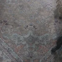 دو تخته فرش ۱۲ متری ۷۰۰شانه
