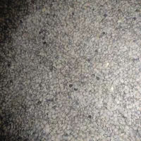 عدس ریز|خوردنی و آشامیدنی|باشت, |دیوار