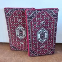 پشتی ریزماهی درحدنو