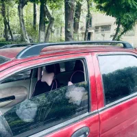 Mvm110|خودرو سواری و وانت|تهران, نازیآباد|دیوار