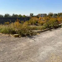 زمین باغ بالای کمربندی ۶۲۰مترچهار دیواری برق دار
