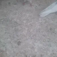 گفتر‌پرشی
