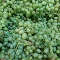 غوره و ابغوره