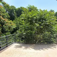 استخدام مربی با شاگرد برای مجموعه