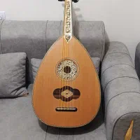 زریاب شامی کد 31 در حد