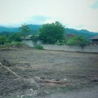 نوساز