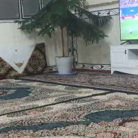 گل تاج مطبق