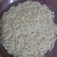 فروش برنج