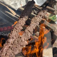 منقل کار با تجربه