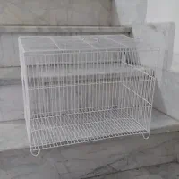 قفس پرنده عروس مرغ عشق