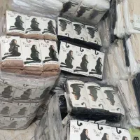 ساق جورابی