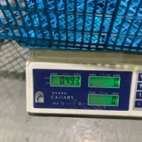 استخدام نیرو در کارخانه تولید سبدسازی(خانم و آقا)