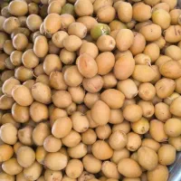 خارک برهی