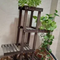جای گلدان
