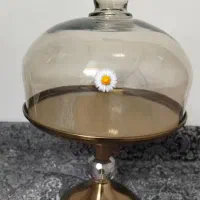 کیک خوری شیک