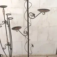 استندگل،|گل و گیاه طبیعی|همدان, |دیوار