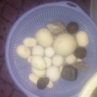فروش تعدادی شهاب سنگ وسنگ الماس اسیاب