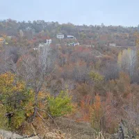 ​تور ۱ روزه اسب‌سواری + ناهار و عصرانه مناطق بکر