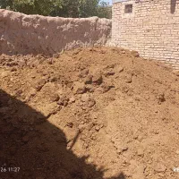 کودگاوی