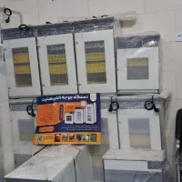 نمایندگی فروش دستگاه‌های جوجه‌کشی هدایت