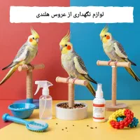 لوازم نگهداری عروس هلندی