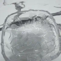 سرویس کریستال شوگا 6 نفره