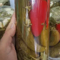 خیارشور خانگی ترد و خوشمزه