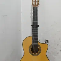 فروش گیتار پیکاپ دار پالادو