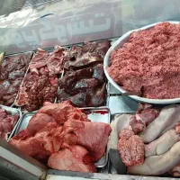چرخ کرده جگر سیراب زبان مغز گوساله گوسفندی