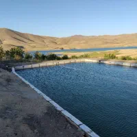 فروش باغ میوه