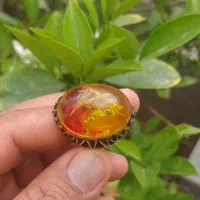 دوتا انگشتر بانگین های جذاب وقدیمی