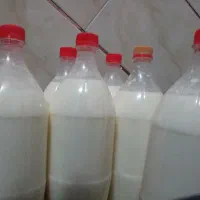 محصولات لبنی محلی پرچرب