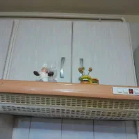 کابینت وهود