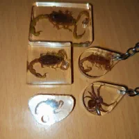 جاسویچی عقرب حشرات رزینی