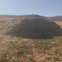 فروشه علوفه منطقه ی سارال