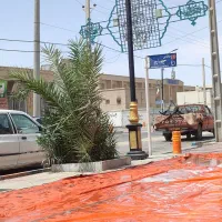 شاطر نان بربری