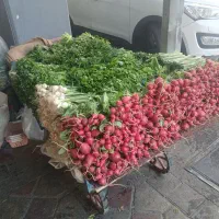 سبزی تازه