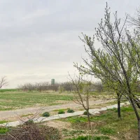 زمینهای  هکتاری شاهنامه آرامگاه فردوسی دیاکواقساطی