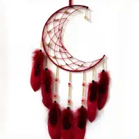 دریم کچر آویز