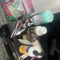 گربه|گربه|زنجان, |دیوار