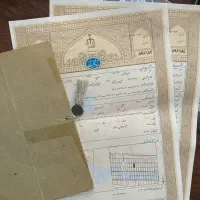 زمین1375متر-دونبش-بر-اصلی-سندتک-برگ