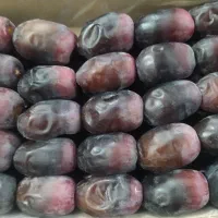 خرمای درجه یک بم