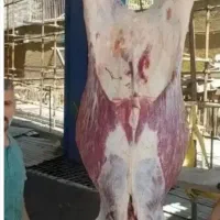 (قصاب سلاخ سیار در محل) گوسفندگاو گوساله کل تهران
