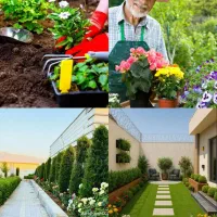 خدمات باغبانی درختکاری گلکاری کاشتی گل تعویض