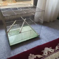 قفس پرنده