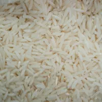برنج طارم هاشمی دابو کشت اول 1405