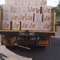 پخش تخم مرغ عمده