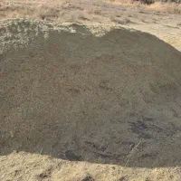 کاه عدس درجه یک