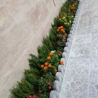 خدمات باغبانی باغچه کاری کاشت گل وگیاه گل کاری