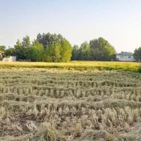 زمین مسکونی ۹۸۲ متر ، نزدیک ساحل (خشکبیجار)